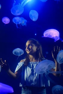 L'Aquàrium de Palma: Tiquet sense cues