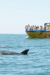 Wybrzeże Algarve: Wycieczka łodzią odrzutową z jaskiniami i delfinami oglądającymi z Albufeiry