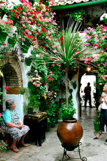 Patios de Córdoba: Córóba: Ξενάγηση