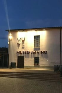 Museo del vino MUVIS