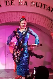 Flamenco show in Sevilla: Rondleiding + Tapas