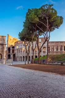 Colosseum & Roman Forum: Semi-Private Guided Tour