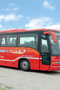 Bus i vaixell de l'Albufera des de València