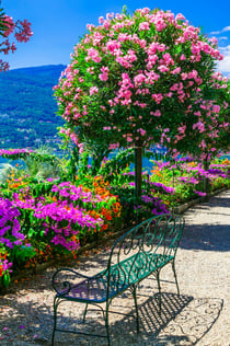 Lac Majeur : excursion depuis Milan