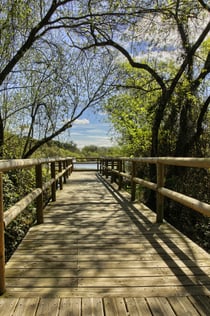 Národní park Doñana a El Rocío: jednodenní výlet ze Sevilly
