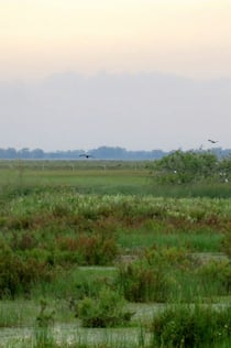 Národní park Doñana a El Rocío: jednodenní výlet ze Sevilly