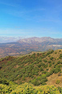 Pobles Blancs i Ronda: excursió des de Sevilla