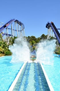 Aquashow Park: Bilet wstępu