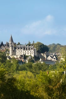 Royal City of Loches: Tiquet d'entrada + Audioguia