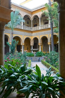 Palacio de las Dueñas + Audioguide