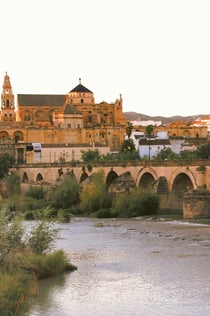 Cordova e la sua Moschea: Giornata Intera da Granada