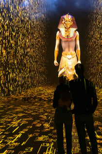 IDEAL Centre d'Arts Digitals : Toutankhamon, l'expérience immersive: Billet d'entrée