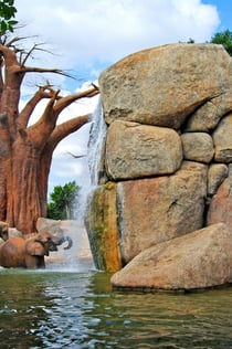 Bioparc Valencia: Fast track-ticket
