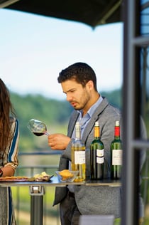 Château La Croizille: Croilleille: Ξενάγηση + γευσιγνωσία κρασιού