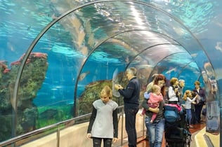 L’Aquàrium de Barcelona