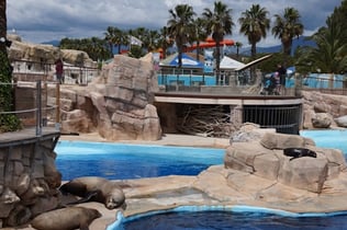 Marineland Côte d'Azur