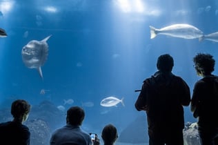 Oceanário de Lisboa