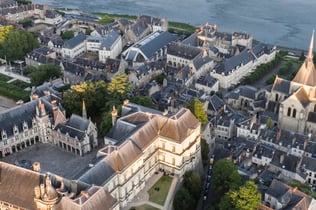 Royal Château de Blois