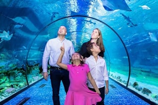 아부다비국립수족관