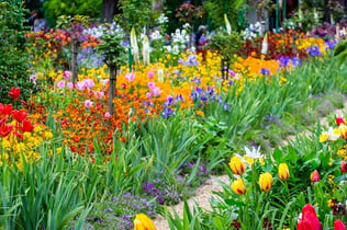 Dagexcursies Giverny vanuit Parijs