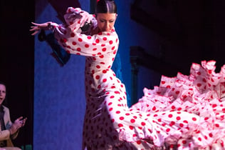 Seville Flamenco Shows