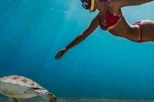 이스트코스트 당일 여행 (두바이 출발)