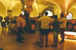 Verona Wine Tastings