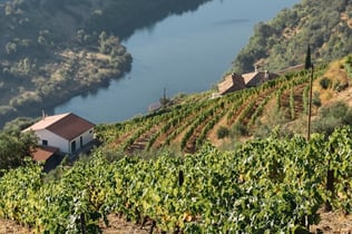 Ημερήσιες εκδρομές στο Douro Valley από το Πόρτο