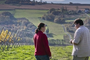 Excursions des de Cracòvia