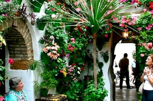 Cordoba City Tours