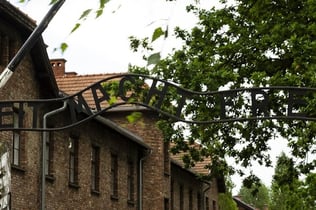 Auschwitz-ture fra Kraków