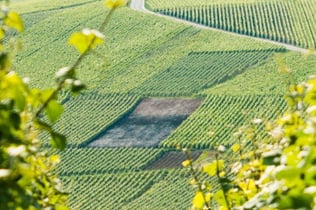 Excursions d'une journée en Champagne au départ de Paris