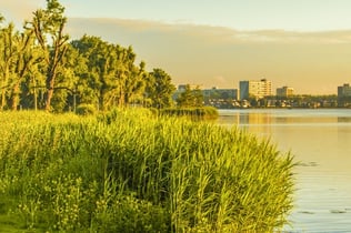 Alphen aan den Rijn