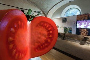 Food Museums: Tomato Museum