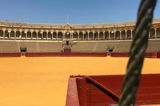 Real Maestranza: Guided Tour
