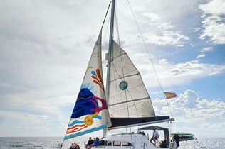 Catamaran Excursion Marbella