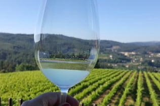 Vinho Verde Region: Small Group Tour from Porto with Lunch