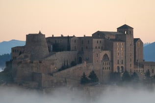 Castle of Cardona: Guided Visit