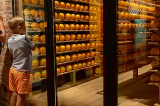 Edam Cheese Experience: The Story of Edam Cheese