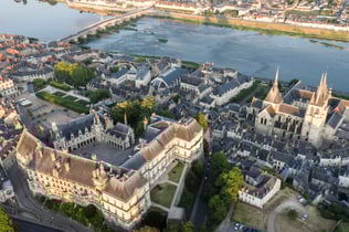 Royal Château de Blois: Entry Ticket