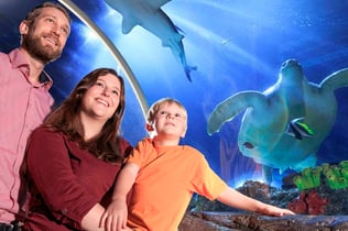 SEA LIFE Konstanz: Entry Ticket