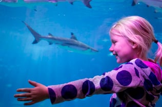 SEA LIFE Oberhausen: Entry Ticket