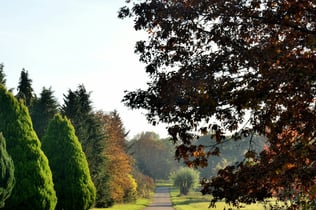 Arboretum de Chèvreloup: Entry Ticket