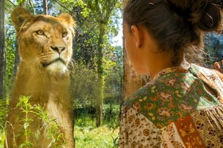 Amersfoort Zoo: Entry Ticket