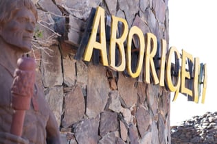 Mundo Aborigen: Entry Ticket