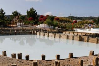 Ibiza Botanical Biotechnology: Skip The Line Ticket