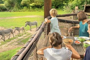 Leipzig Zoo: Skip The Line Ticket
