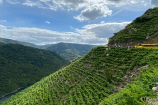 Ribeira Sacra Tourist Train