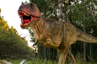Dino Parque Lourinhã: Entry Ticket