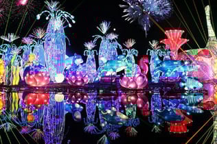 두바이 가든 글로우: 입장권